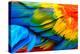 Close up of Scarlet Macaw Bird's Feathers-Narupon Nimpaiboon-Premier Image Canvas