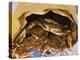 Close-up of Steamed Crabs in a Paper Bag, Maryland, USA-null-Premier Image Canvas