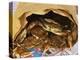 Close-up of Steamed Crabs in a Paper Bag, Maryland, USA-null-Premier Image Canvas