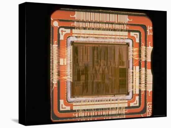 Close Up of the Internal Structure of an Intel Pentium Processor with MMX Technology-Ted Thai-Premier Image Canvas