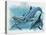 Close-Up of Three Dolphins (Delphinus Delphis)-null-Premier Image Canvas