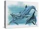 Close-Up of Three Dolphins (Delphinus Delphis)-null-Premier Image Canvas