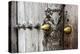 Close-Up of Traditional Carved Door, Stone Town, Zanzibar, Tanzania-Alida Latham-Premier Image Canvas