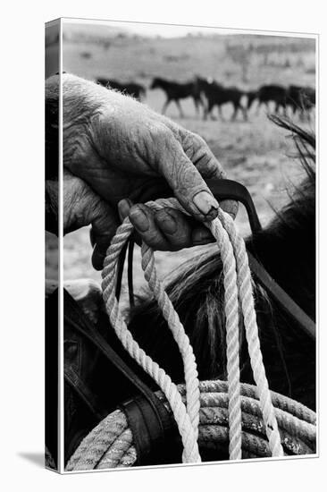 Close Up on Weather Beaten Hand of Whistle Mills Ranch Foreman Holding Rope-John Loengard-Premier Image Canvas