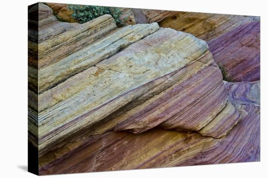 Close-up, Rainbow Vista, Valley of Fire State Park, Nevada, USA.-Michel Hersen-Premier Image Canvas