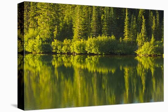 Close Up, Reflection, Reflection Lake, Mount Rainier NP, Washington-Michel Hersen-Premier Image Canvas