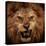 Close-Up Shot Of Roaring Lion-NejroN Photo-Premier Image Canvas