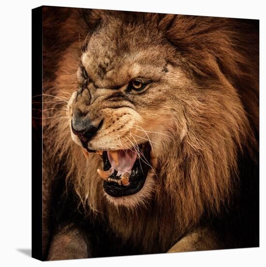 Close-Up Shot of Roaring Lion-NejroN Photo-Premier Image Canvas