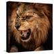 Close-Up Shot of Roaring Lion-NejroN Photo-Premier Image Canvas