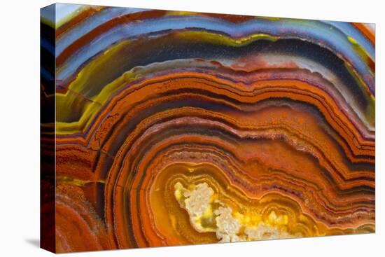 Close Ups of Fortification on Crazy Lace Agate-Darrell Gulin-Premier Image Canvas