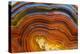 Close Ups of Fortification on Crazy Lace Agate-Darrell Gulin-Premier Image Canvas
