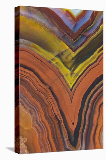 Close Ups of Fortification on Crazy Lace Agate-Darrell Gulin-Premier Image Canvas