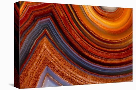 Close Ups of Fortification on Crazy Lace Agate-Darrell Gulin-Premier Image Canvas