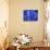 Close View of Blue Hydrangea Flowers, Cape Cod, Massachusetts-Darlyne A^ Murawski-Stretched Canvas displayed on a wall