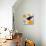 Clothesline 2-Lisa Kesler-Premier Image Canvas displayed on a wall
