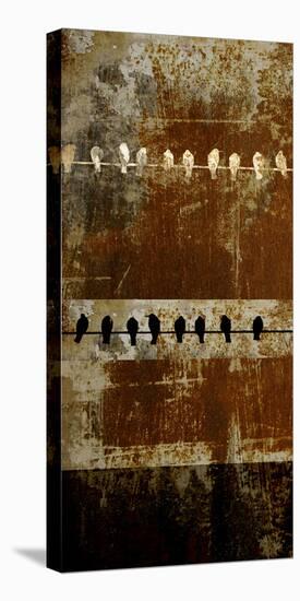 Clothesline Crows-SM Design-Stretched Canvas