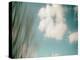Cloud Formations-Savanah Plank-Stretched Canvas