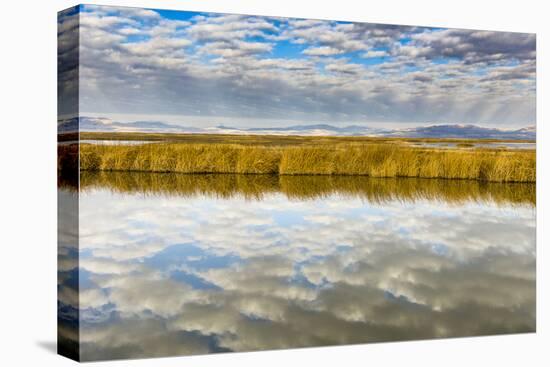 Cloud Reflection on Bear River National Wildlife Refuge, Utah-Howie Garber-Premier Image Canvas