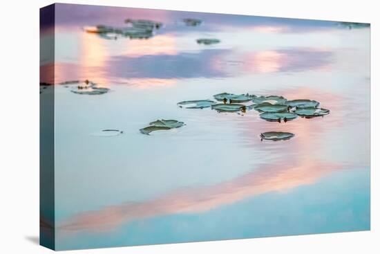 Cloud Reflections-Brooke T. Ryan-Premier Image Canvas