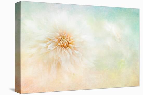 Cloud-Jacky Parker-Premier Image Canvas