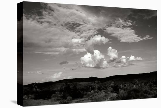 Clouds in Joshua Tree II-Erin Berzel-Premier Image Canvas