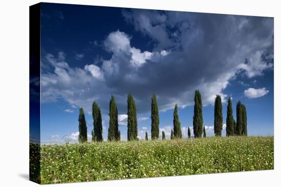 Clouds over Cypress Hill-Michael Blanchette-Premier Image Canvas