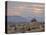Cloudy Sunrise, Joshua Tree National Park, California, United States of America, North America-James Hager-Premier Image Canvas