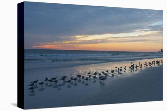 Cloudy Sunset on Crescent Beach, Siesta Key, Sarasota, Florida, USA-Bernard Friel-Premier Image Canvas