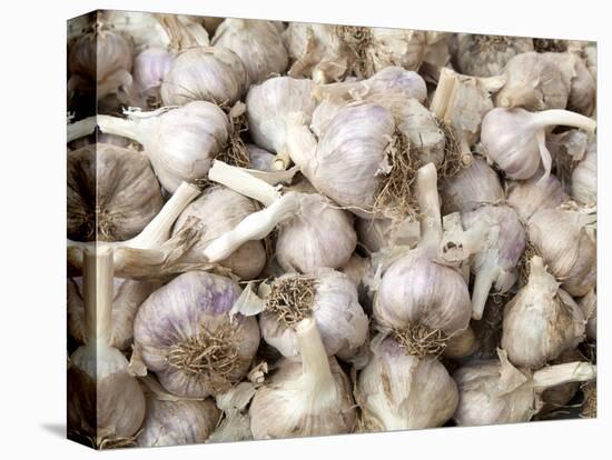 Cloves of Garlic for Sale in Market, Nazareth, Israel-Merrill Images-Premier Image Canvas