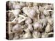 Cloves of Garlic for Sale in Market, Nazareth, Israel-Merrill Images-Premier Image Canvas