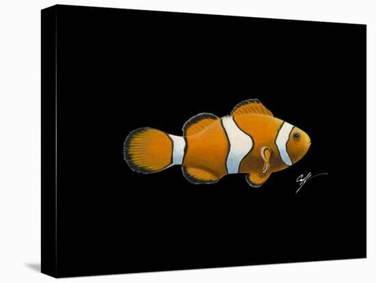 Clown Fish-Durwood Coffey-Premier Image Canvas