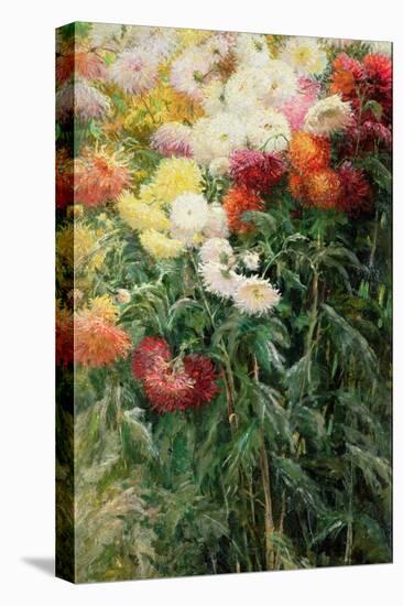 Clump of Chrysanthemums, Garden at Petit Gennevilliers, 1893-Gustave Caillebotte-Premier Image Canvas