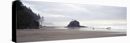 Coast La Push Olympic National Park WA-null-Premier Image Canvas