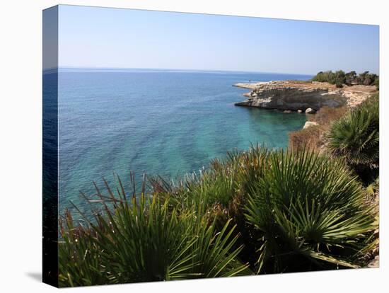 Coast Near Cassibile, Siracusa Province, Sicily, Italy, Mediterranean, Europe-Vincenzo Lombardo-Premier Image Canvas