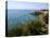 Coast Near Cassibile, Siracusa Province, Sicily, Italy, Mediterranean, Europe-Vincenzo Lombardo-Premier Image Canvas