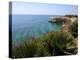 Coast Near Cassibile, Siracusa Province, Sicily, Italy, Mediterranean, Europe-Vincenzo Lombardo-Premier Image Canvas