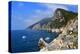 Coast near Portovenere, Liguria, Italy, Europe-Hans-Peter Merten-Premier Image Canvas