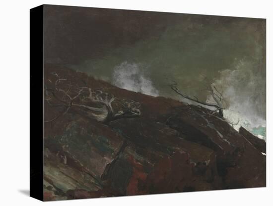 Coast of Maine, 1893-Winslow Homer-Premier Image Canvas