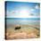 Coast of Red Sea at the Sunlight-Givaga-Premier Image Canvas
