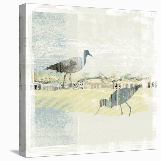 Coastal Birds I-Ken Hurd-Stretched Canvas