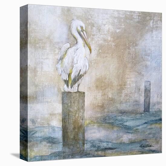 Coastal Birds I-Paula Giltner-Stretched Canvas