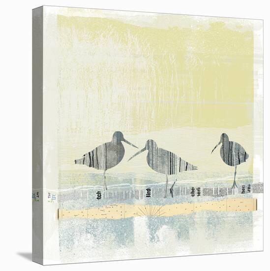 Coastal Birds II-Ken Hurd-Stretched Canvas