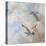 Coastal Birds II-Paula Giltner-Stretched Canvas