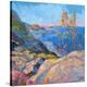 Coastal Blooms-Erin Hanson-Stretched Canvas