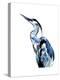 Coastal Blue Egret-Crystal Smith-Stretched Canvas