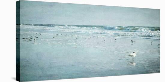 Coastal Breeze-Heather Jacks-Stretched Canvas