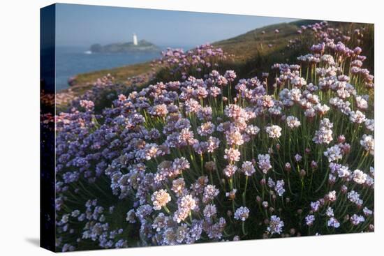 Coastal Cliffs, Godrevy Point, Nr St Ives, Cornwall, England-Paul Harris-Premier Image Canvas