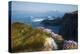 Coastal Cliffs, Godrevy Point, Nr St Ives, Cornwall, England-Paul Harris-Premier Image Canvas