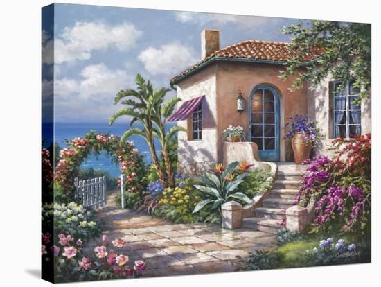 Coastal Cottage View-Sung Kim-Stretched Canvas