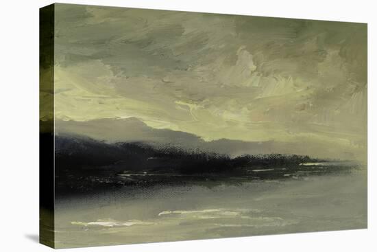 Coastal Dawn-Sheila Finch-Stretched Canvas
